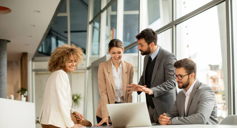 Receive company referrals and feedback