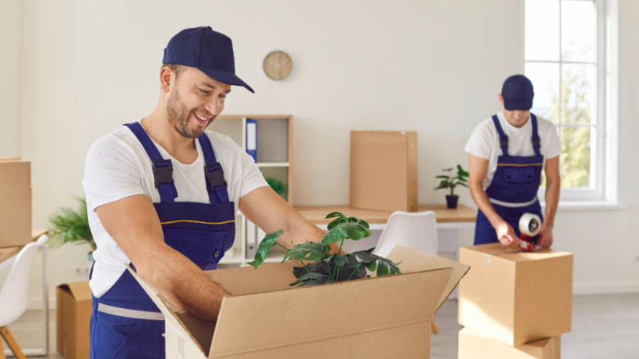 Advantages of Connecting with a Moving Company in Dubai 