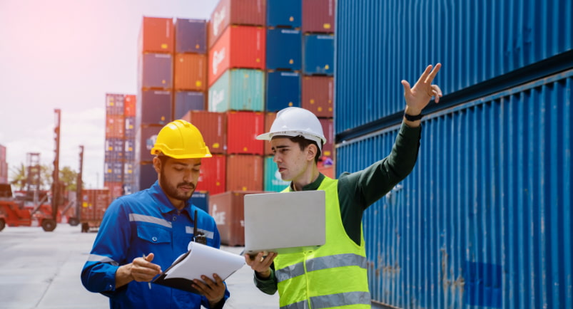 Customs Regulations and Documentation