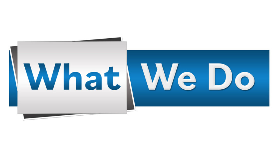 What We Do