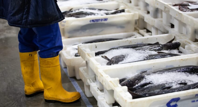 Handling Perishables – The Cold Chain